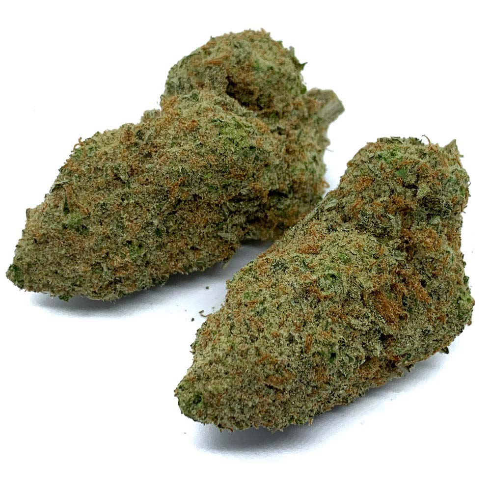 El-Dorado-Hybrid-Flowers-Fantastic-Weeds-2