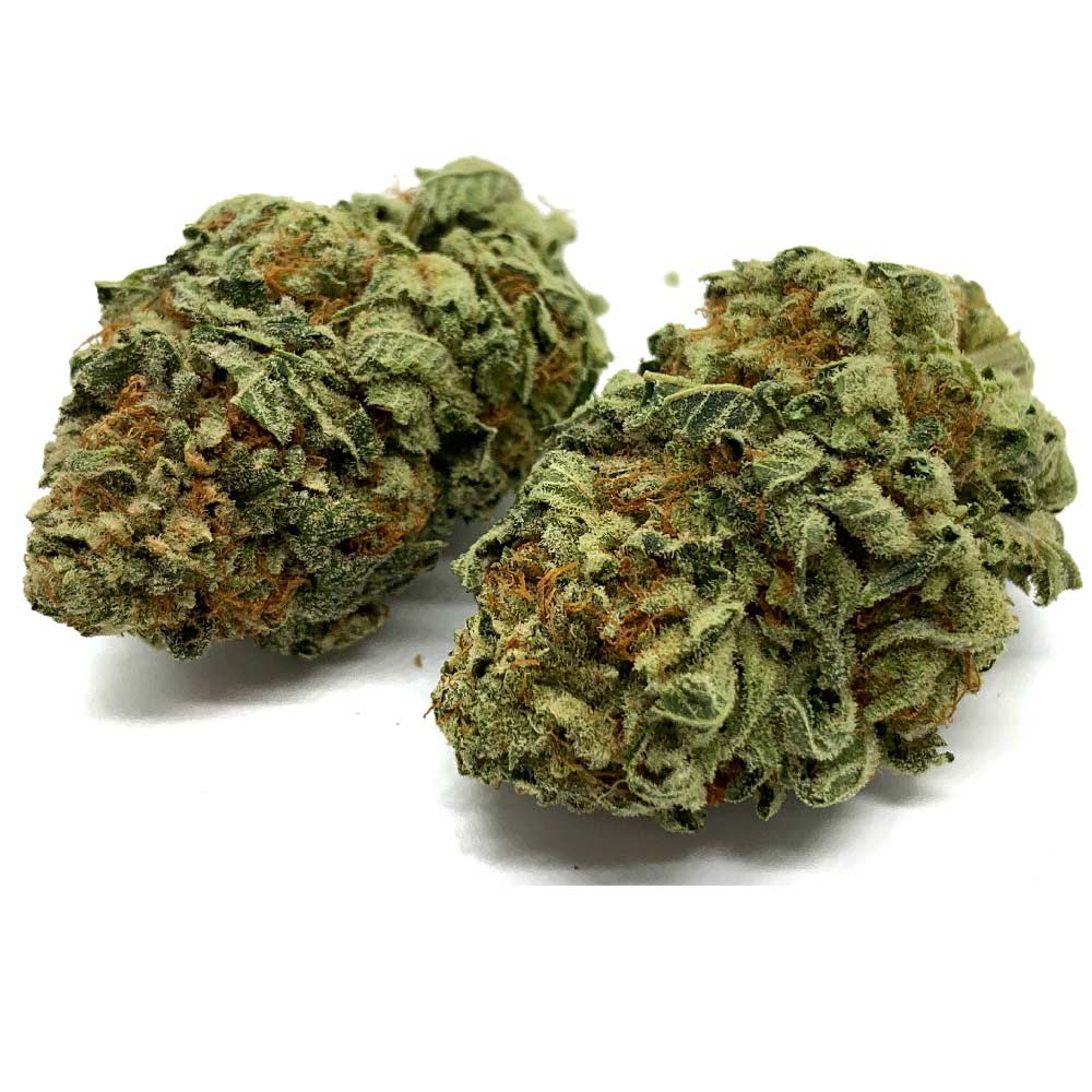 Golden-Lemons-Hybrid-Flowers-Fantastic-Weeds-2