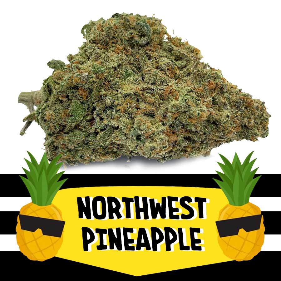 Northwest Pineapple
