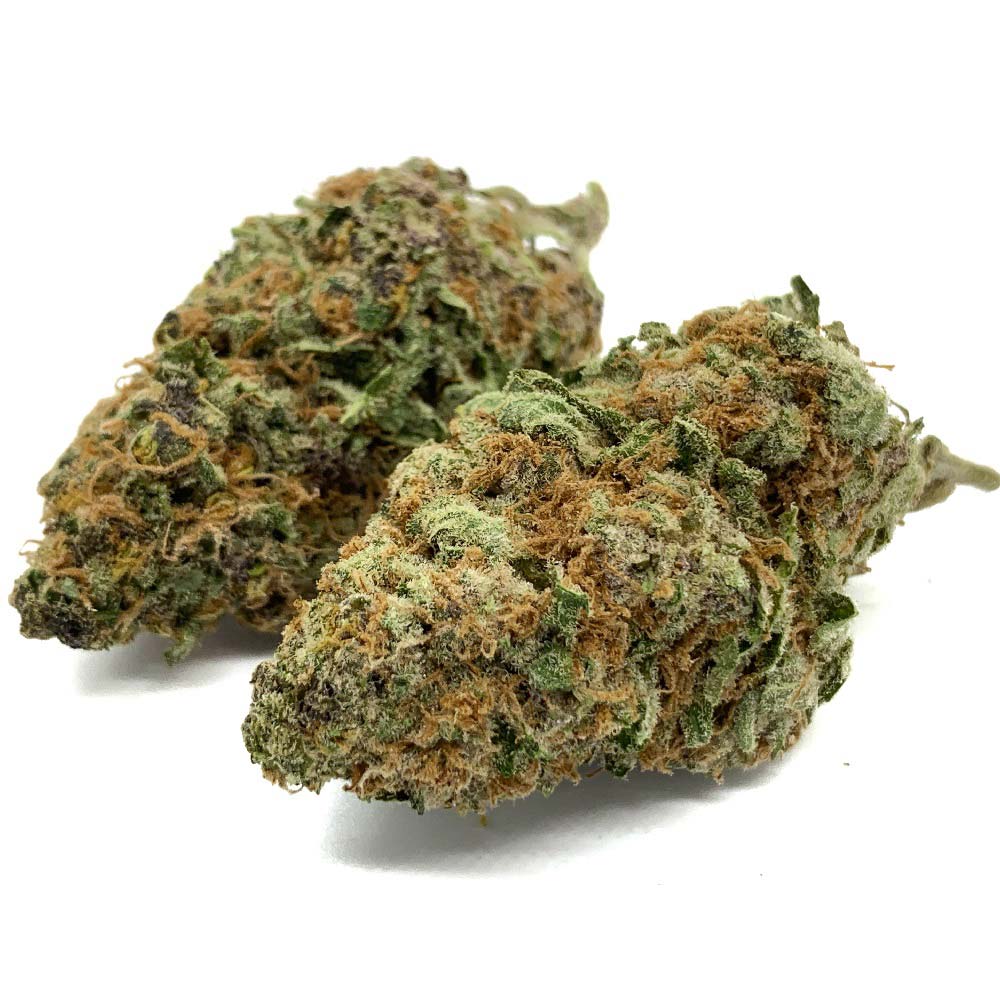 Purple Queen - Image 2