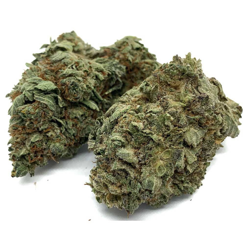 Sensi Star - Image 2