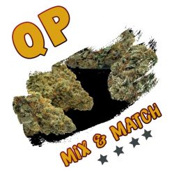 Smalls QP (1/4) Mix and Match