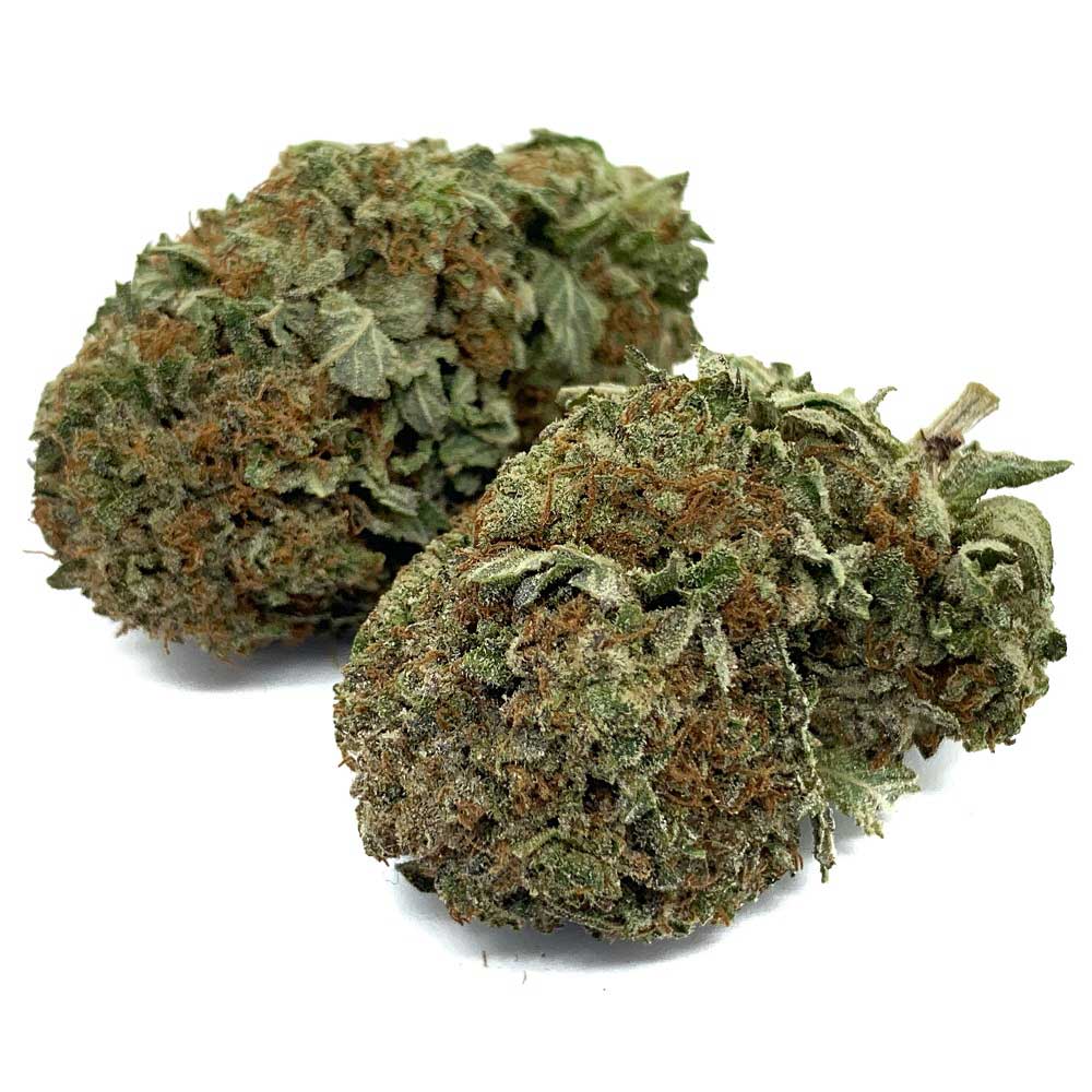 Pink Bubba - Image 2