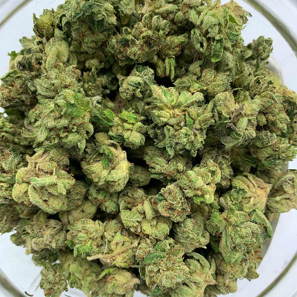 Mike Tyson OG (Popcorn)