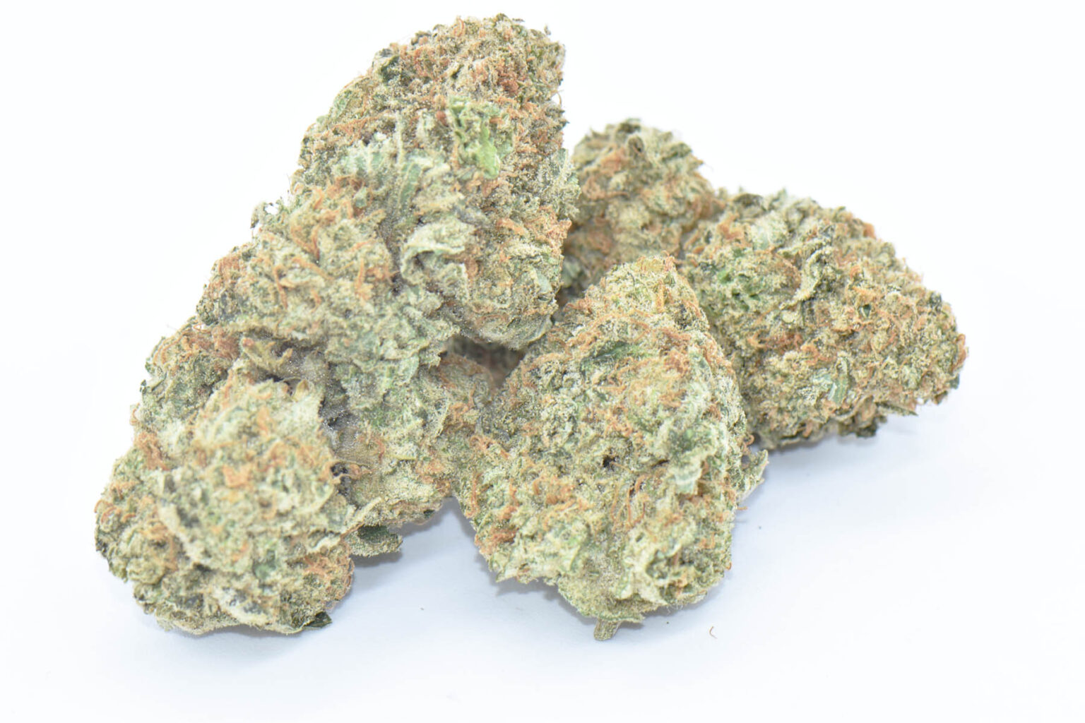 Gummy Shark - Image 2