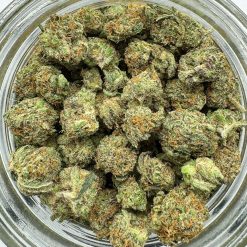 Cherry Gelato (Popcorn)